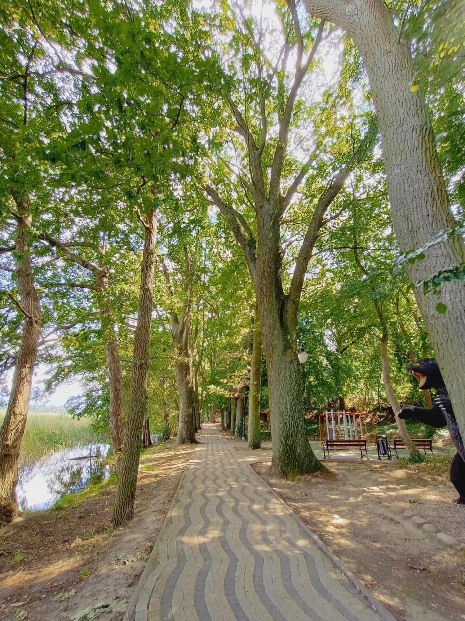 Domki Obok Plazy Moryn Exterior photo